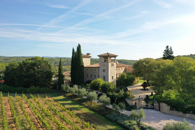 Guided tour of the cellars and vineyards in Provence